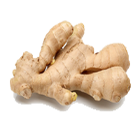 ginger
